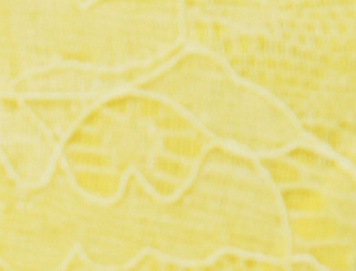 Lemoncello