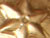 Gold Star