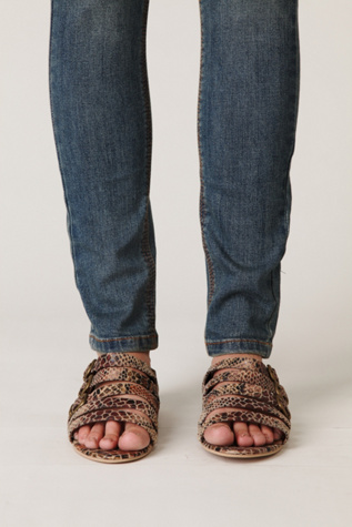 Python Brown