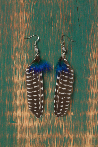 Ombre Feather Earrings