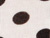 Ivory Dot