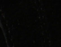 Black Suede