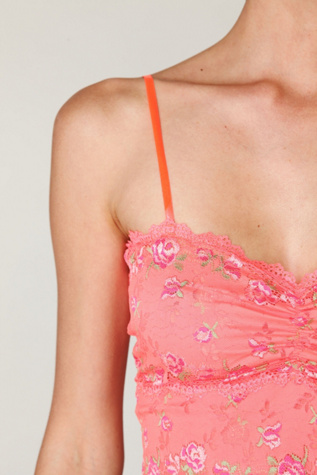 Tropical