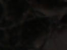 Black Assorted