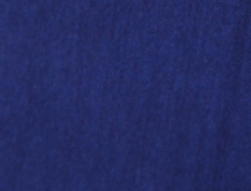 Navy Floral