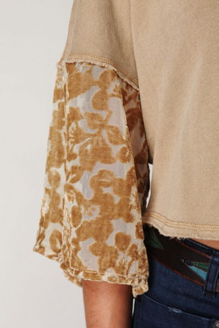 Velvet Burnout Sleeve Pullover