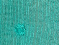 Vivid Teal