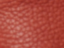 Russet