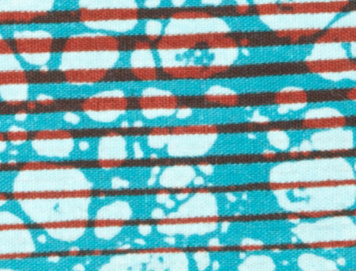 Bird Print