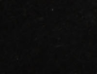 Black Suede
