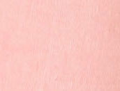 Rosebud