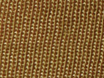 Olive Stripe