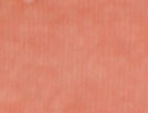 Soft Coral