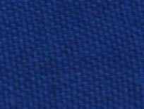 Electric Blue