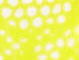 Neon Yellow