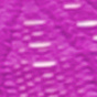 Dark Magenta