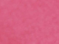 Rose Blush
