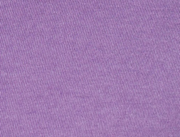 Purple Feather