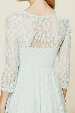 Floral Mesh Lace Dress
