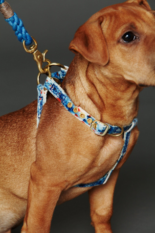 Tie Dye Canvas Harness