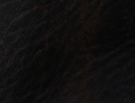 Black/Brown
