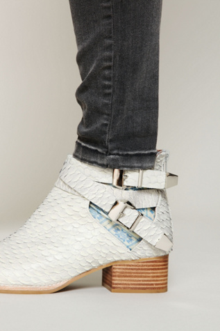 Grey Snake