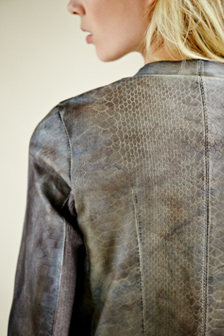Chocolate-Blue Grey