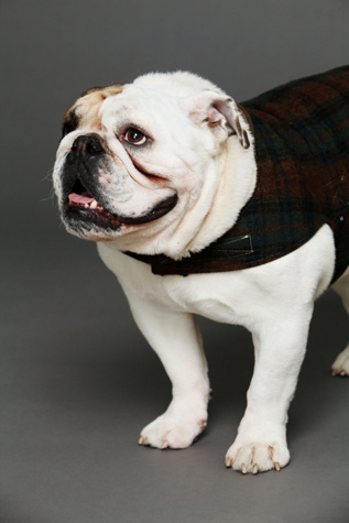 Reversible Rescue Coat