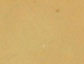 Gold Star