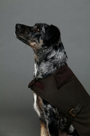 Barbour Wax Cotton Dog Coat