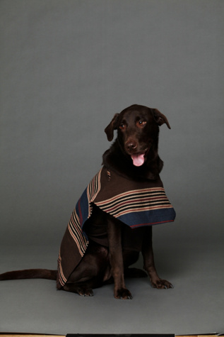 Ocotillo Poncho