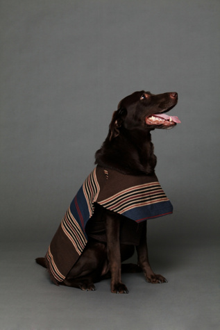 Ocotillo Poncho