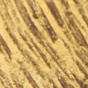 Gold Feather