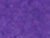 Purple / Blue