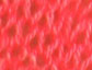 Red / Black