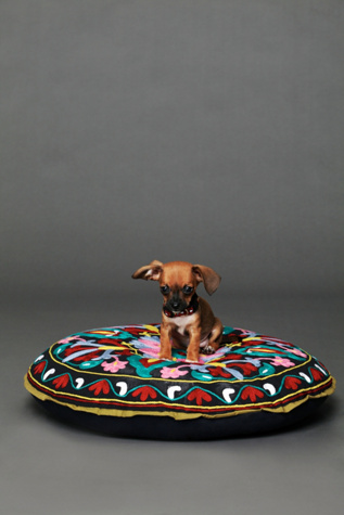 Embroidered Krishna Dog Bed